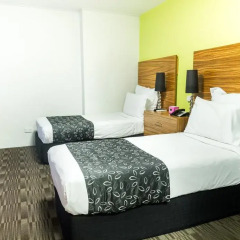 Cambridge Hotel Sydney 4* Стандартный номер с 2 отдельными кроватями фото 5