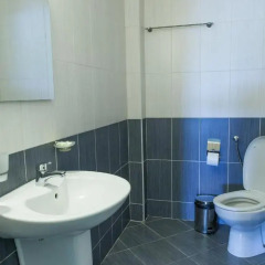 Family Hotel Bodurov ванная
