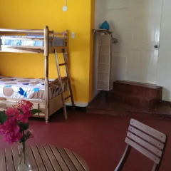 Отель Germaican Hostel Ямайка, Порт Антонио - отзывы, цены и фото номеров - забронировать отель Germaican Hostel онлайн развлечения