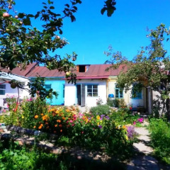 Отель B&B at Bailanysh Кыргызстан, Каракол - отзывы, цены и фото номеров - забронировать отель B&B at Bailanysh онлайн фото 5