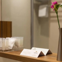 Cornaro Hotel 4* Стандартный номер с различными типами кроватей фото 7