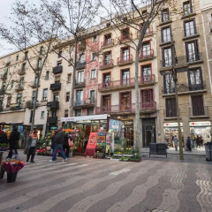 Отель Ramblas 108 Испания, Барселона - 1 отзыв об отеле, цены и фото номеров - забронировать отель Ramblas 108 онлайн