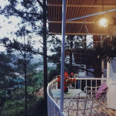 Отель Pine Hill Homestay Dalat фото 5