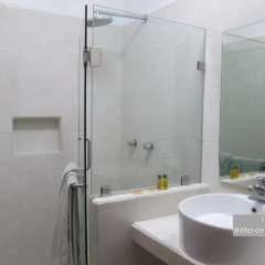 Hotel Del Parque 3* Номер Делюкс с различными типами кроватей фото 14