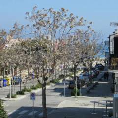 Hotel Palumbo 4* Стандартный номер фото 13