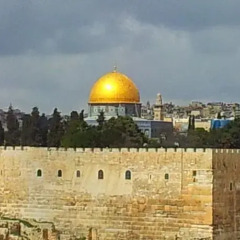 Jerusalem Panorama Hotel Израиль, Иерусалим - 5 отзывов об отеле, цены и фото номеров - забронировать отель Jerusalem Panorama Hotel онлайн приотельная территория фото 2