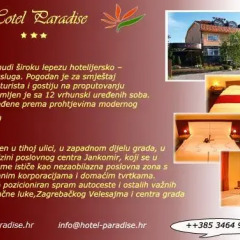 Paradise Hotel в номере