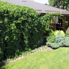 Гостиница Comfort-House Беларусь, Минск - отзывы, цены и фото номеров - забронировать гостиницу Comfort-House онлайн фото 2