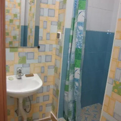 Мини-отель Лира Номер Комфорт с различными типами кроватей фото 13