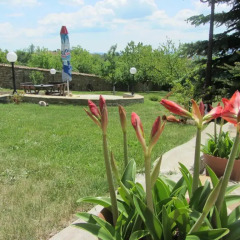 Отель Guest House Debar Велико Тырново детские мероприятия