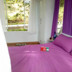 Отель Pine Hill Homestay Dalat детские мероприятия фото 2