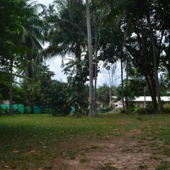 Отель Baan Long Beach Таиланд, Ланта - отзывы, цены и фото номеров - забронировать отель Baan Long Beach онлайн фото 12
