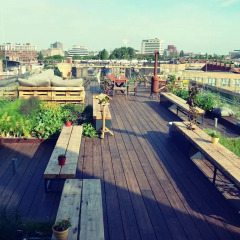 Hotel Casa Amsterdam спортивное сооружение