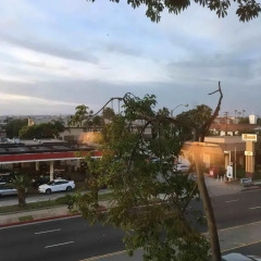 Отель Quality Inn & Suites Los Angeles Airport - LAX фото 9