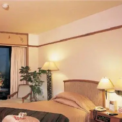 The Royal City Hotel 3* Номер Делюкс с различными типами кроватей фото 5