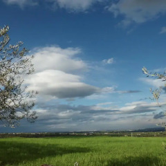 Отель Agriturismo La Collinetta Нова-Сири фото 2