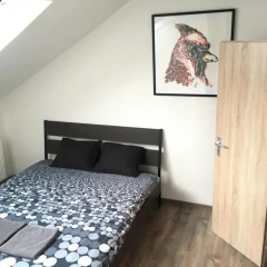 Brix Hostel Стандартный номер с различными типами кроватей фото 3