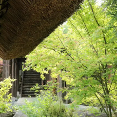 Отель Ryokan Minawa Япония, Минамиогуни - отзывы, цены и фото номеров - забронировать отель Ryokan Minawa онлайн