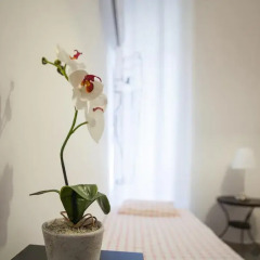 Barbieri Sol Hostel Стандартный номер с различными типами кроватей фото 2