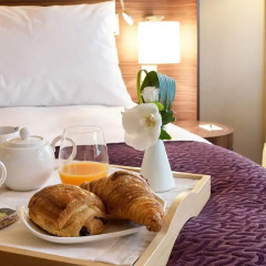 Radisson Blu Hotel Lyon в номере