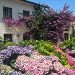 Отель Il Casale di Riardo B&B Сан-Никола-ла-Страда фото 4