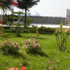 Blue Marine Hotel Турция, Стамбул - отзывы, цены и фото номеров - забронировать отель Blue Marine Hotel онлайн