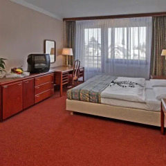 Hotel Krakonoš 3* Стандартный номер с различными типами кроватей фото 4