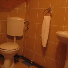 Отель Boskovica Brvnare 3* Коттедж с разными типами кроватей