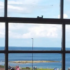 The Park Hotel Tynemouth комната для гостей фото 5
