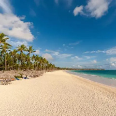 Отель Alfa Beach Доминикана, Пунта Кана - отзывы, цены и фото номеров - забронировать отель Alfa Beach онлайн пляж фото 2