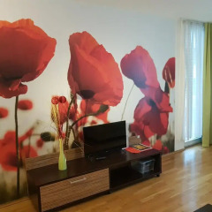 Апартаменты Europa Apartments интерьер отеля