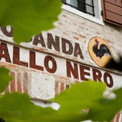 Отель Al Gallo Nero Боргорикко гостиничный бар