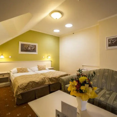 Spa Hotel Cajkovskij Palace 4* Стандартный номер