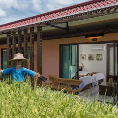 Отель Naina Resort & Spa 4* Стандартный номер с двуспальной кроватью фото 3