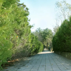 Гостиница Orchestra Horizont Gelendzhik Resort