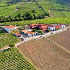 Отель Quinta dos Espinheiros бассейн