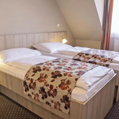 Отель Palác U Kocku 3* Номер Эконом с разными типами кроватей фото 2