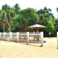 Green Shadows Beach Hotel фото 4