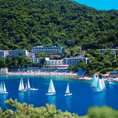 Hotel Vis бассейн фото 2