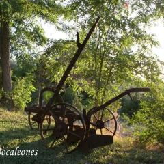 Отель Bocaleones детские мероприятия