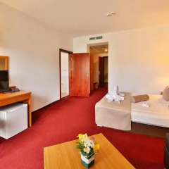 Prestige Hotel and Aquapark 4* Стандартный номер разные типы кроватей фото 13