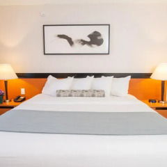 Miyako Hotel Los Angeles 3* Стандартный номер с различными типами кроватей фото 4