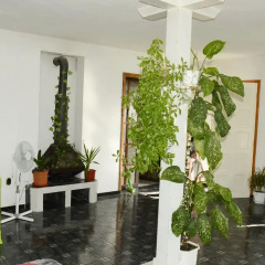 Отель Prima Guest House 2 Болгария, Генерал-Кантраджиево - отзывы, цены и фото номеров - забронировать отель Prima Guest House 2 онлайн спа