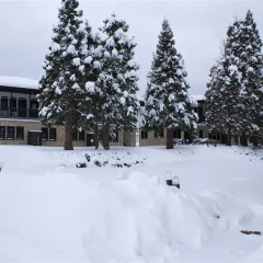 Отель Holiday Village Kedar Боровец спортивное сооружение