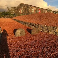 Отель Aldeia dos Caldeirões Португалия, Мадалена - отзывы, цены и фото номеров - забронировать отель Aldeia dos Caldeirões онлайн фото 6