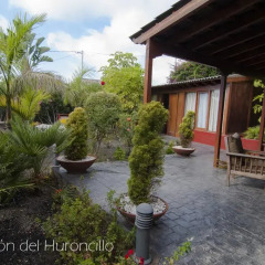 Отель El Rincón del Huroncillo фото 3