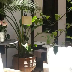 Отель Riad Azza Марокко, Марракеш - отзывы, цены и фото номеров - забронировать отель Riad Azza онлайн фото 4