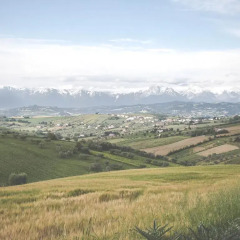 Отель B&B Verdi Colline Контрогуерра фото 2
