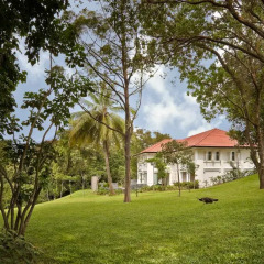 Отель Capella Singapore 5* Стандартный номер с различными типами кроватей фото 4