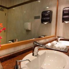 Отель Ayla Hotel ОАЭ, Эль-Айн - отзывы, цены и фото номеров - забронировать отель Ayla Hotel онлайн ванная